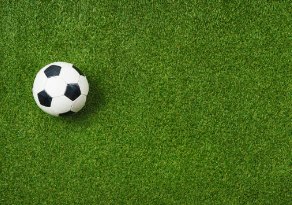Hermesbet Spor Dalları